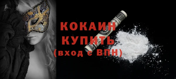 индика Костерёво