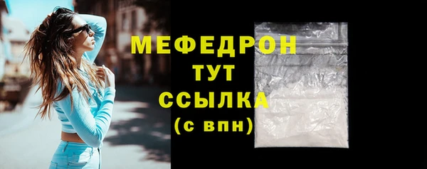 индика Костерёво