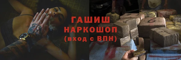 гашик Краснослободск