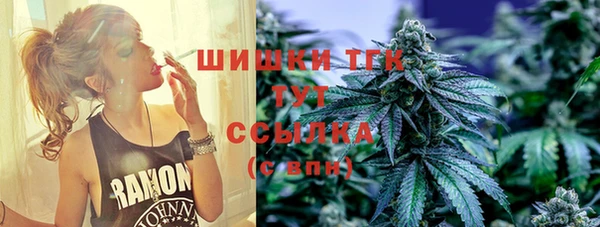 ПСИЛОЦИБИНОВЫЕ ГРИБЫ Корсаков