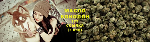 гашик Краснослободск