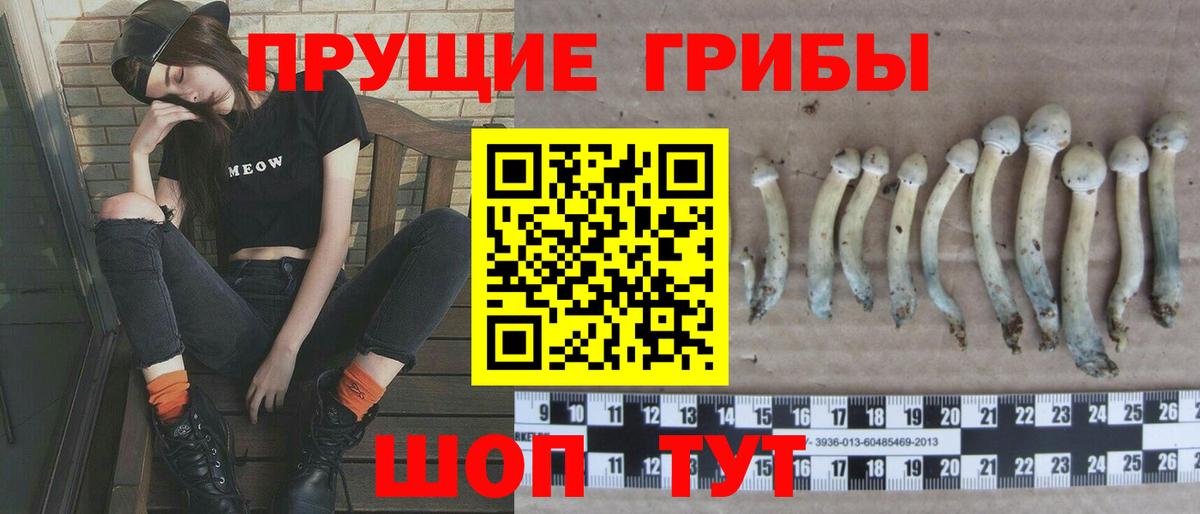 Псилоцибиновые грибы мухоморы Ливны